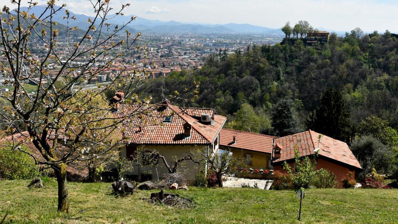 Il Giardino Di Berbech Citta Alta-Ulivo Apartment Bergamo Exterior photo